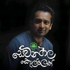 සෙවනගල කොල්ලෙක්