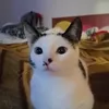 __dunjaaaaaaaa__