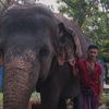 maduwanth46