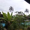 enti.ranau