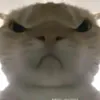 123456789999q1