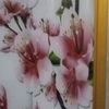 wwtoktpkcom.ardiansah