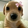 mattee_9