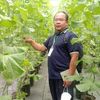 hadigunawan473