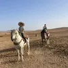 akramlm11