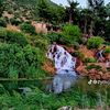 user54490159720240