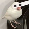 owo3942