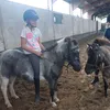 nallaloveellyne