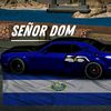 domsv1
