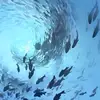 zhxraa_2