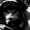 catt_bgtt28