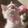 lifeofmimi27