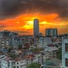 temo_339