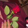 shumaila.nadeem24