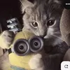 wryyyve