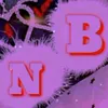 .bn2347