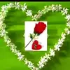 myloveallah351