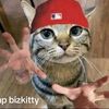typicalbread2