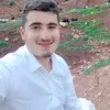 dyar_gulli2