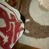 incognito_77756