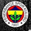 ozcan_blt.1349