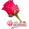 user2313144912779