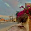 abdelkarim.fayz
