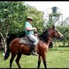 jose.manueo.osto
