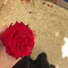 malek.ouafi