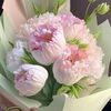 moahmmad.asghar