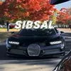 sibsal_dzo