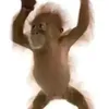 thisiseleni_onlyone
