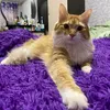 aleksandrakaliuga