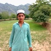 muzamil.khan9022