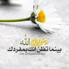 user8617202062119