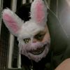 leorabbit2