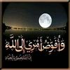 user4442227992756