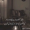 shafqatmajeed86