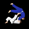 tekkeng_bjj