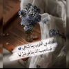 mayadamostafa419
