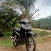 alwi.kor