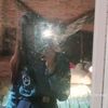 fe_bri.naa