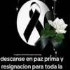 laura.g.ccajamarc