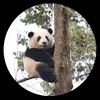 kavin.nguyen079