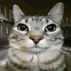rafa_bsk11