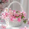 sharmin.mitu1