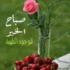 user2363834044885