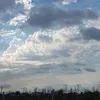 olii_240910