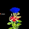 user5344184461888