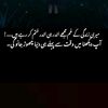 gull01312